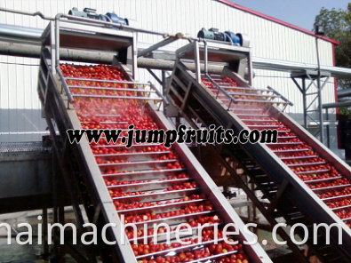 Tomato Powder Making Machine